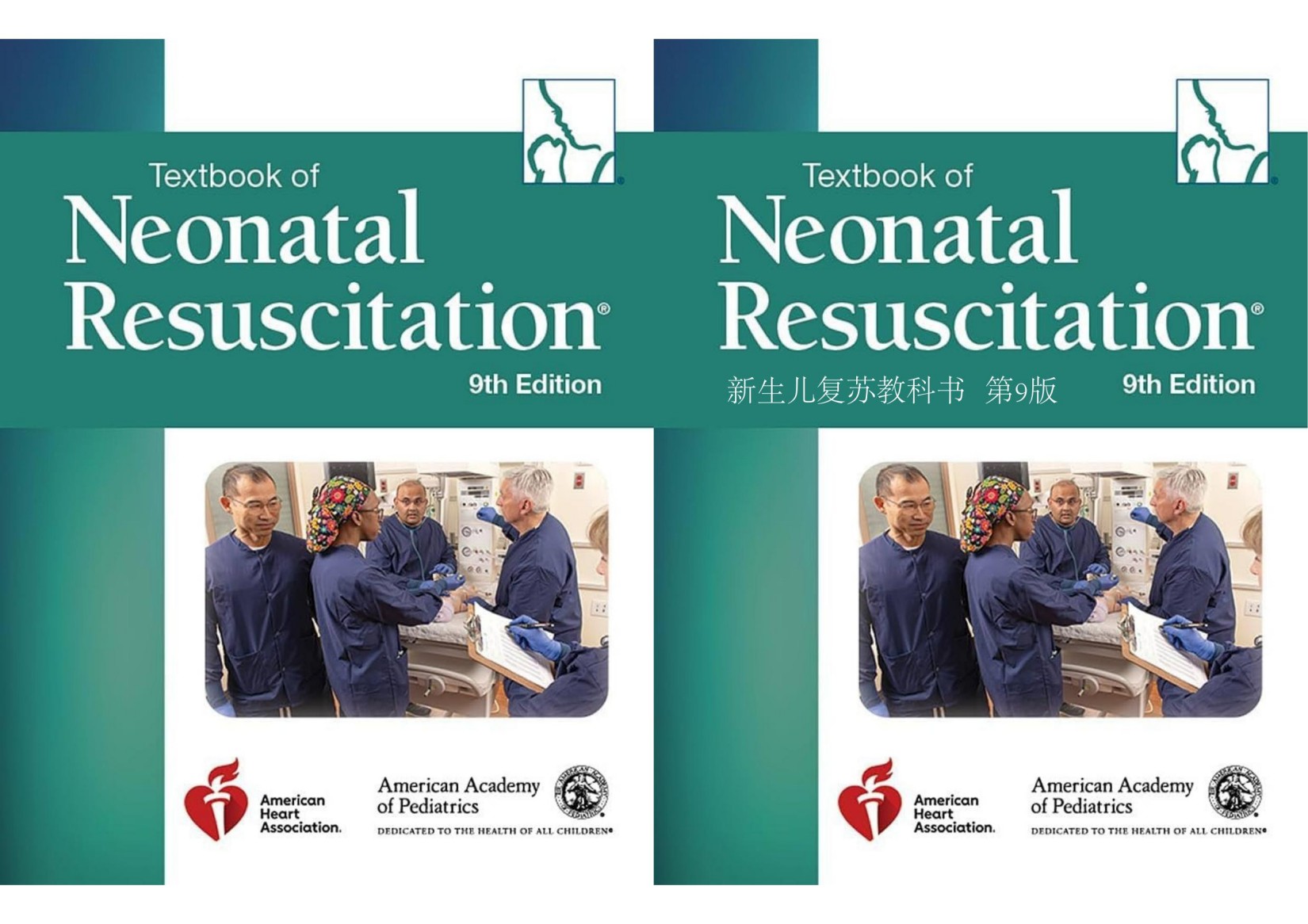 【双语】新生儿复苏 9版 Textbook of Neonatal Resuscitation (NRP) 9th Edition- American Academy of Pediatrics